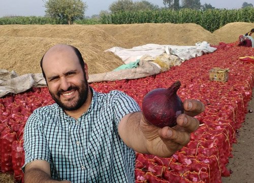 Red onions