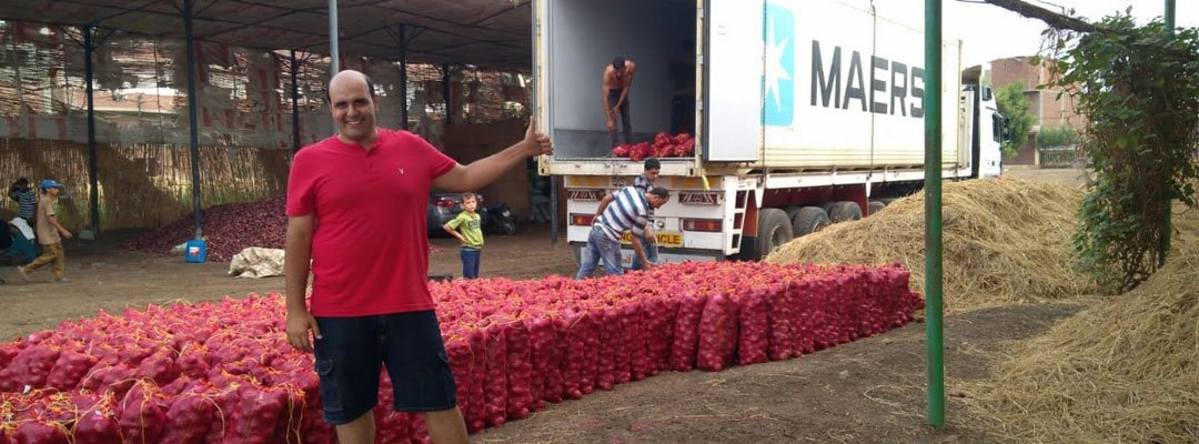 fresh onions